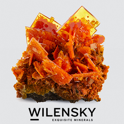 Wilensky